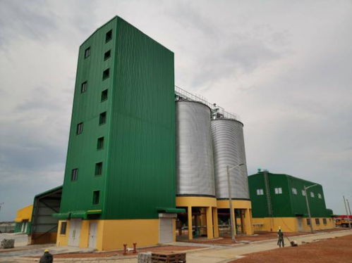 援赞比亚玉米粉加工厂项目